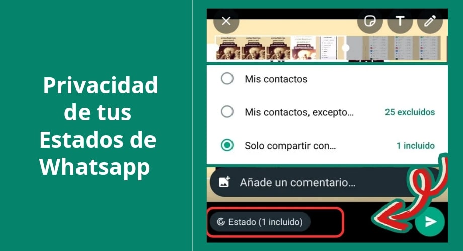 Privacidad de los Estados de Whatsapp