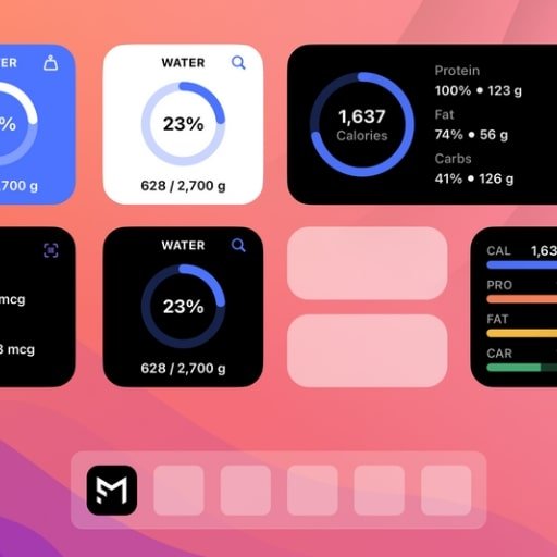 Widgets y Barra de Estado